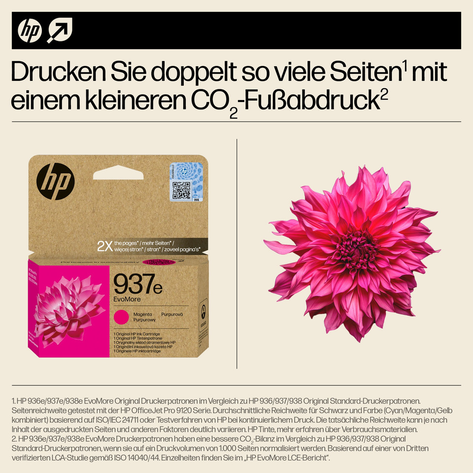 Dahlie, Blume, Pflanze, Blütenblatt