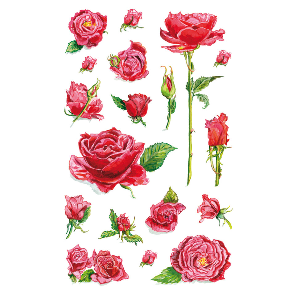 rosen, rose, rosenstiel, rose-bleu, blumensticker