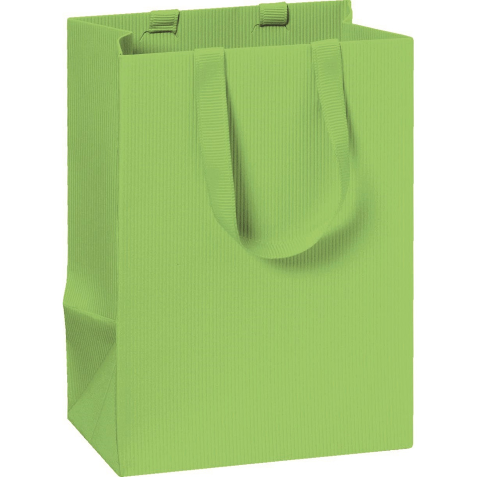 Geschenktragetasche One Colour, 14x10x8cm, hellgrün STEWO 2541782896