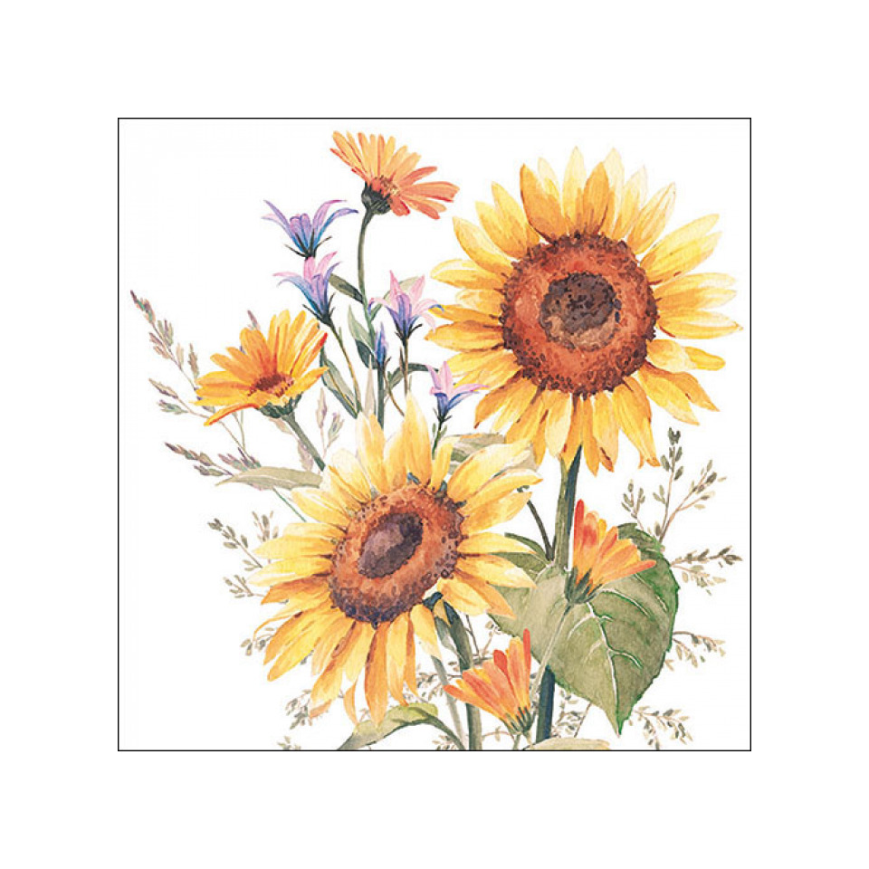 Blume, Pflanze, Sonnenblume