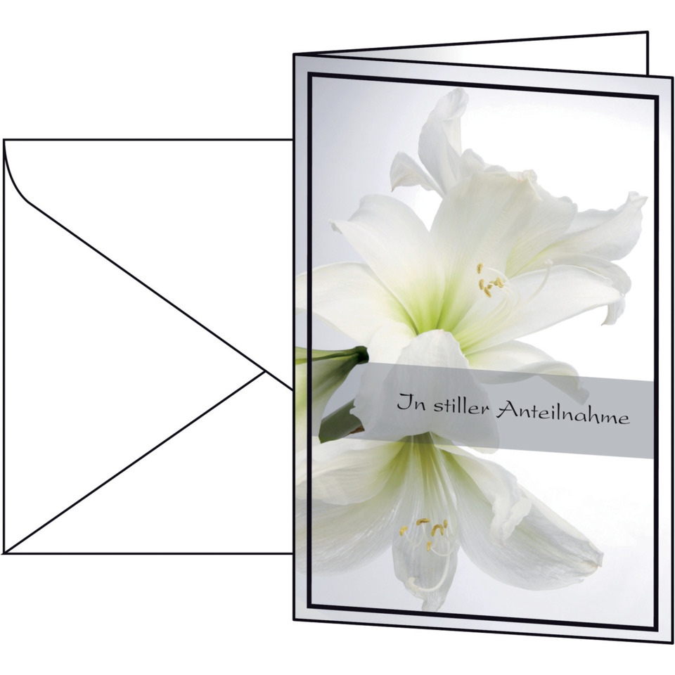 Weiß, Blume, Grußkarte, Blüte, Holquadrat-Frame