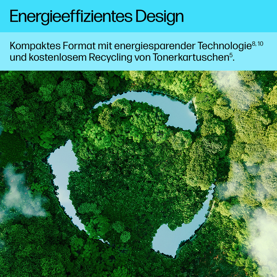 Wald, Baumringe, Spirale, Recycling, Natur