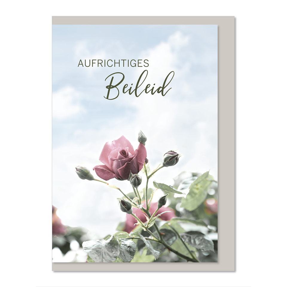 Blume, Pflanze, Rose, Grußkarte, Blütenblatt