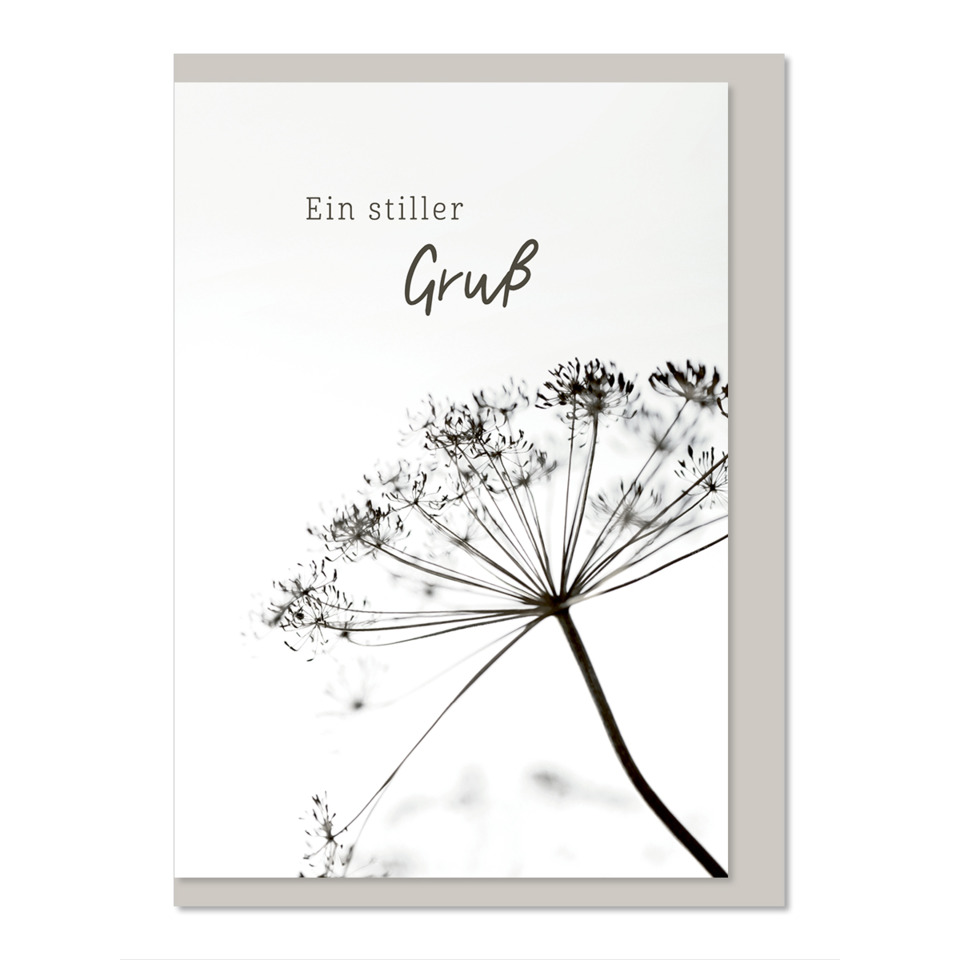 Druckkarte, Blume, Pusteblume, Schwarzweiß, Minimalistisch