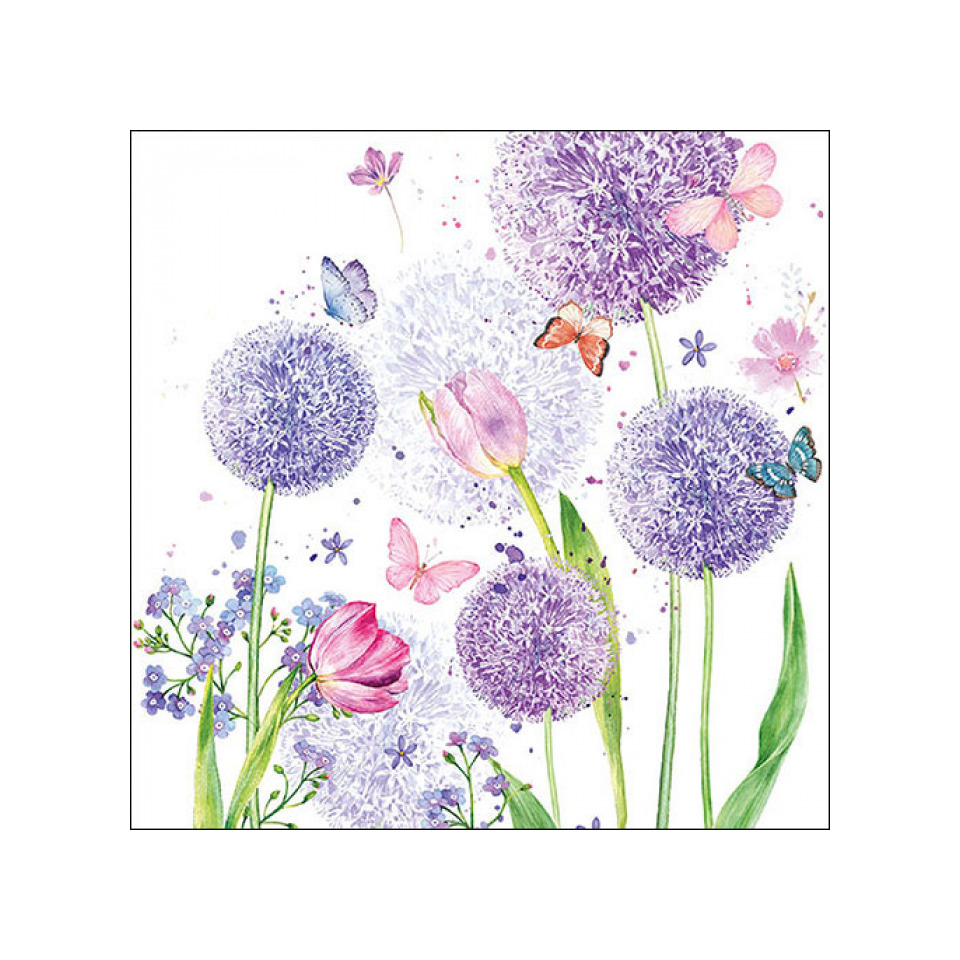 blumen, allium, pusteblume, floral, sommergarten
