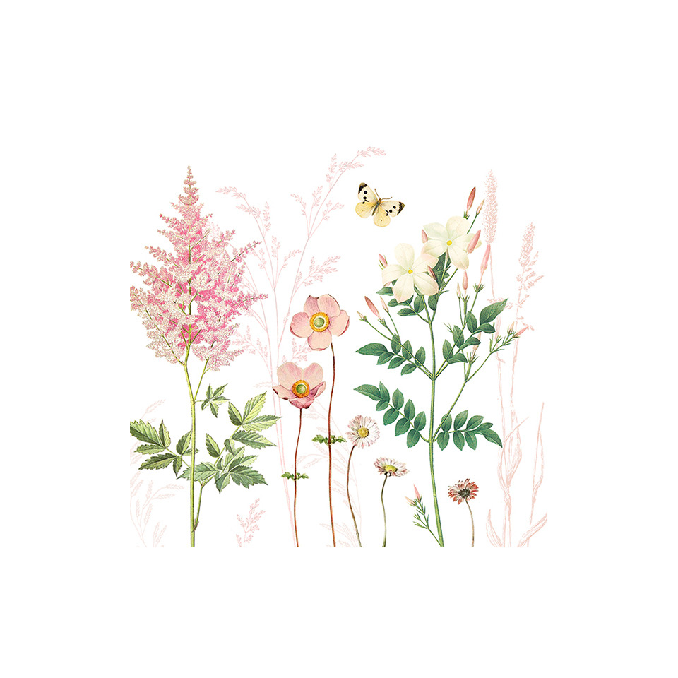blumenillustration, pflanzen, wildblumen, blüten, gifrd