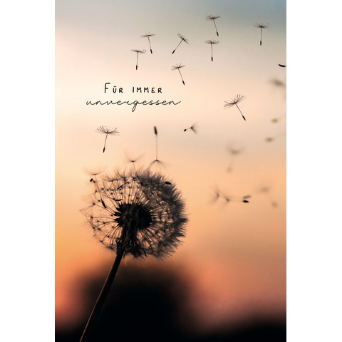 Blume, Pflanze, Löwenzahn, Tier, Vogel