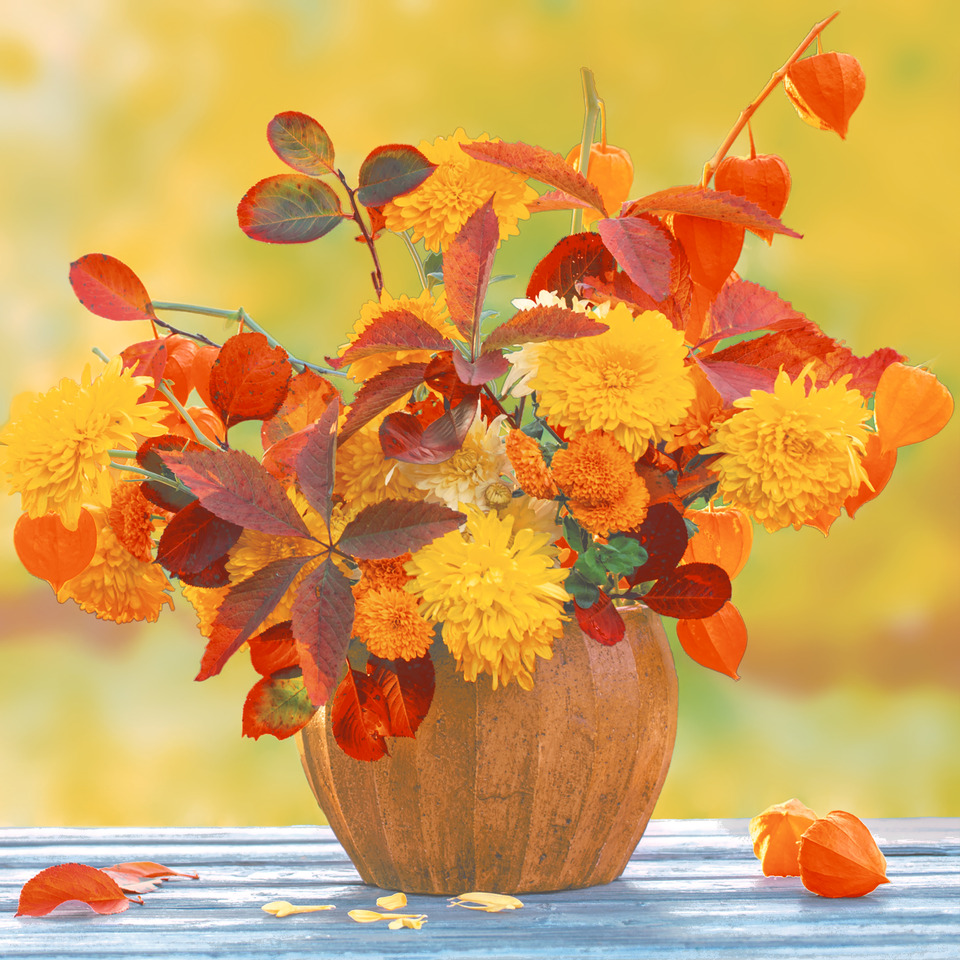 Herbststrauß, Blumen, Kürbisvase, Chrysanthemen, Herbstfarben