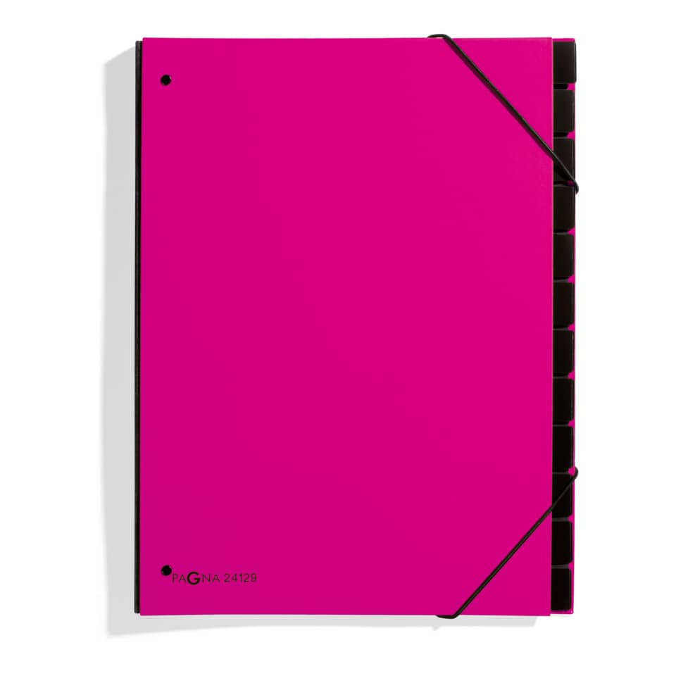 pink notebook, spiral notebook, pink cover, elastic band, dot grid, glossy surface