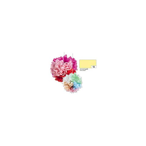 Blume, Pflanze, Nelke, Blütenblatt