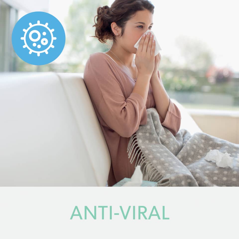 krankes person, taschentuch, decke, sofa, antiviral