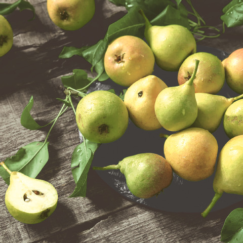 Essen, Obst, Pflanze, Produzieren, Birne, Essen, Obst, Produzieren, Apfel, Birne