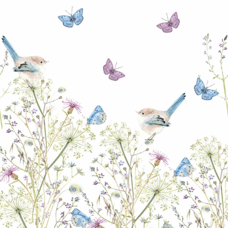 Vögel, Schmetterlinge, Blumen, Wildblumen, Natur