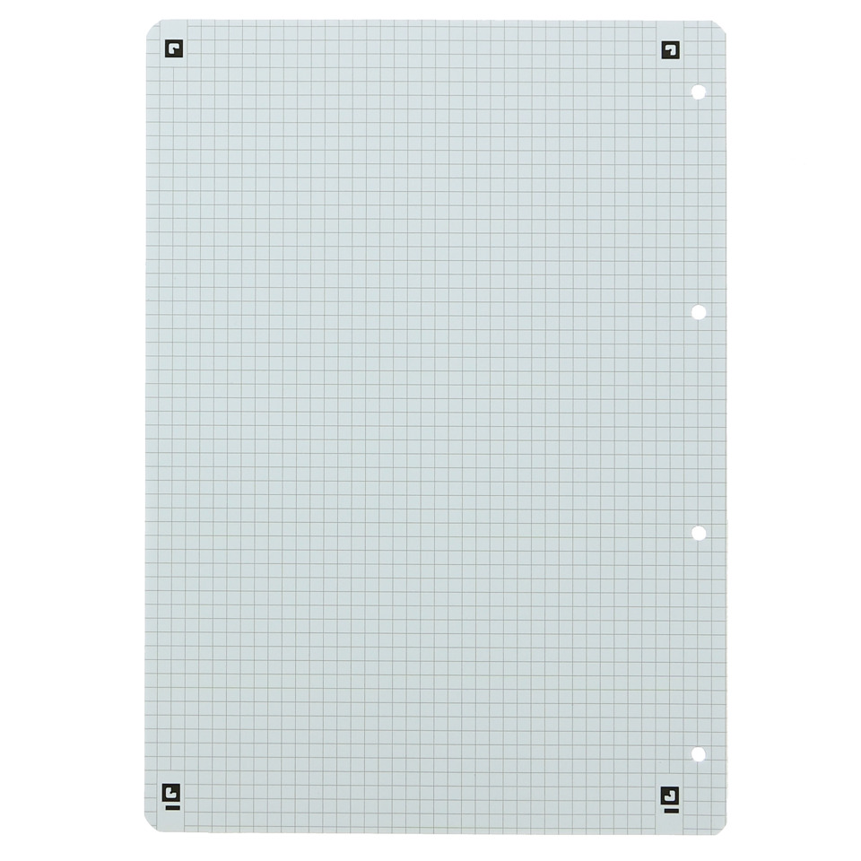notebook, Gitterpapier, Lochstifte, Blatt, wiederverwendbar