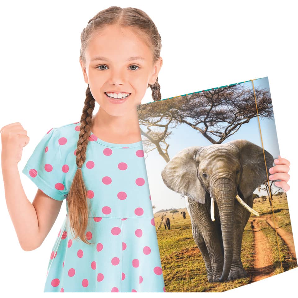 Elefant, Kind, Weiblich, Mädchen, Person