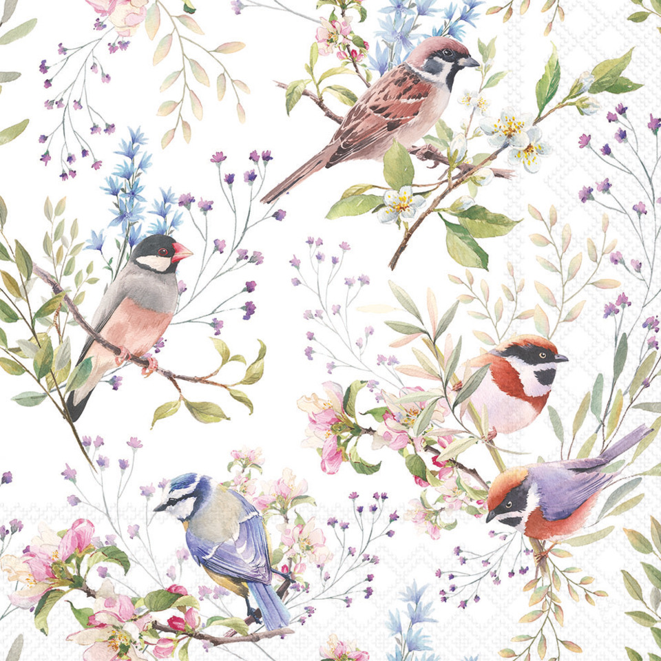 Vögel, Muster, Blumen, Aquarell, Papageien