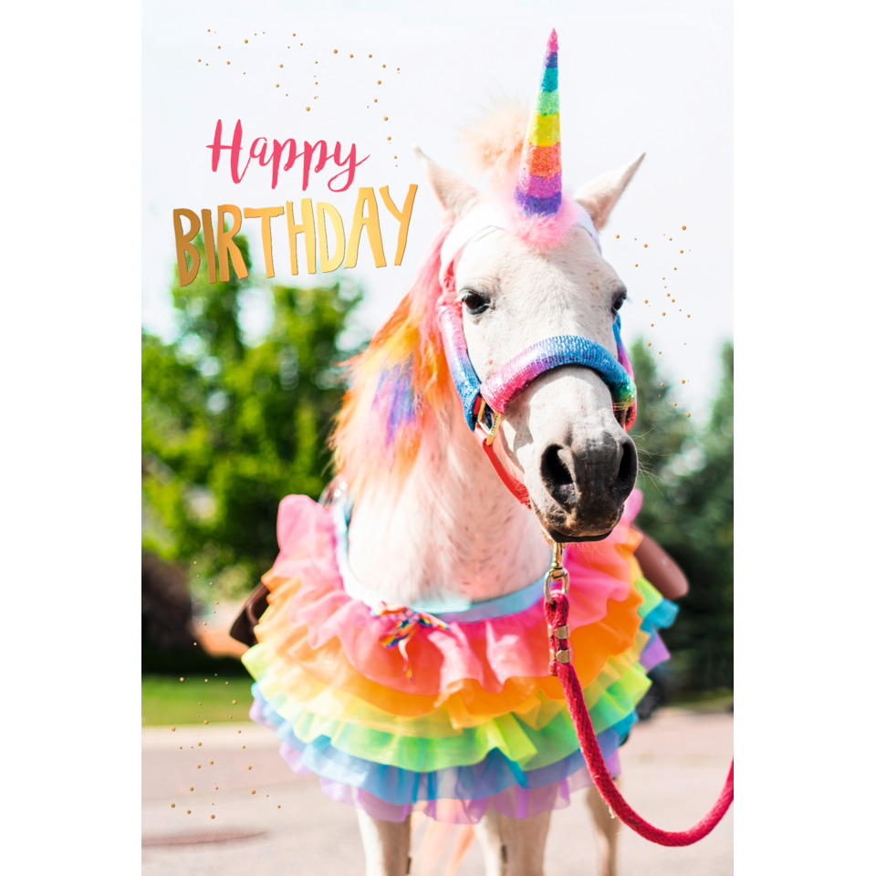 Pferd, Regenbogen, Geburtstag, Haarband, Rüschenkrone