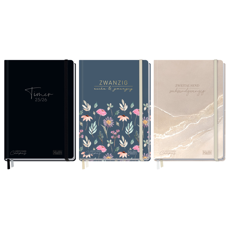 Tagebuch, Buch, Veröffentlichung