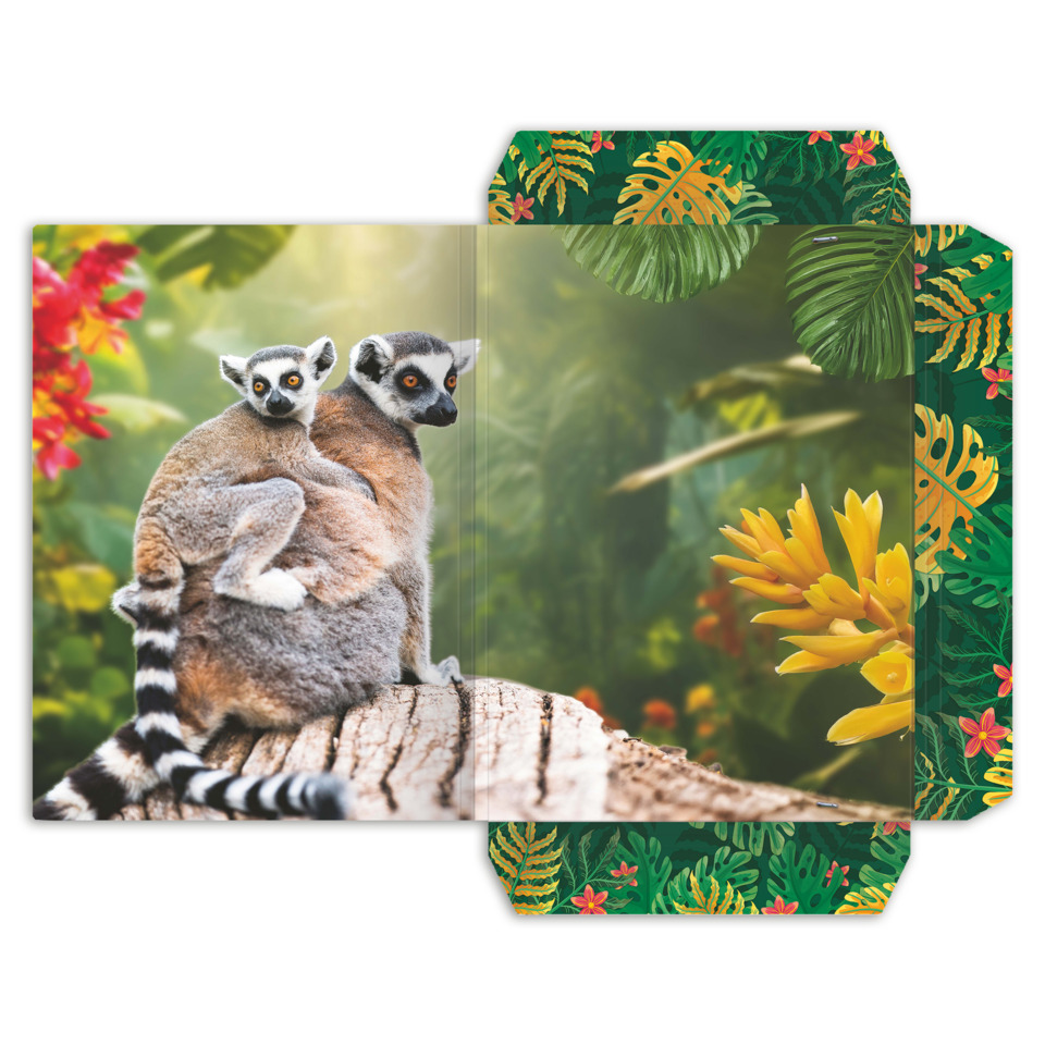 Lemur, Lemuren, Tiere, Doppellagig, Natur