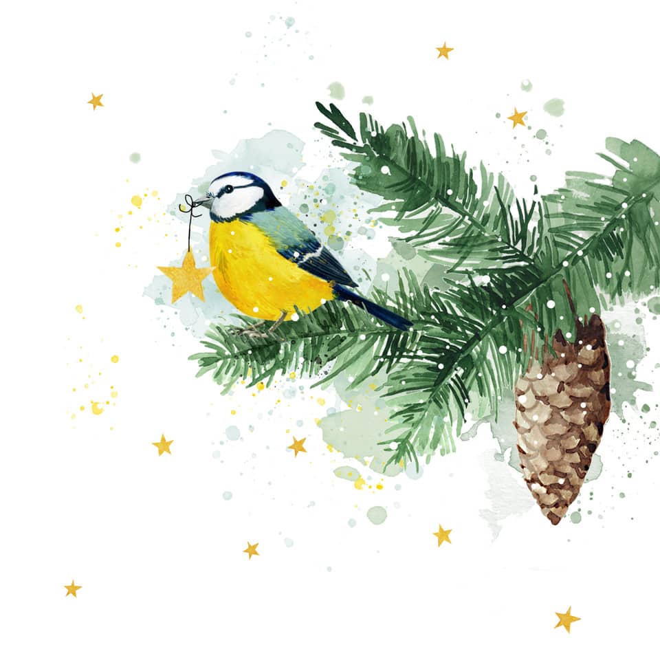 Baum, Vogel, Konifer, Kunst, Jay