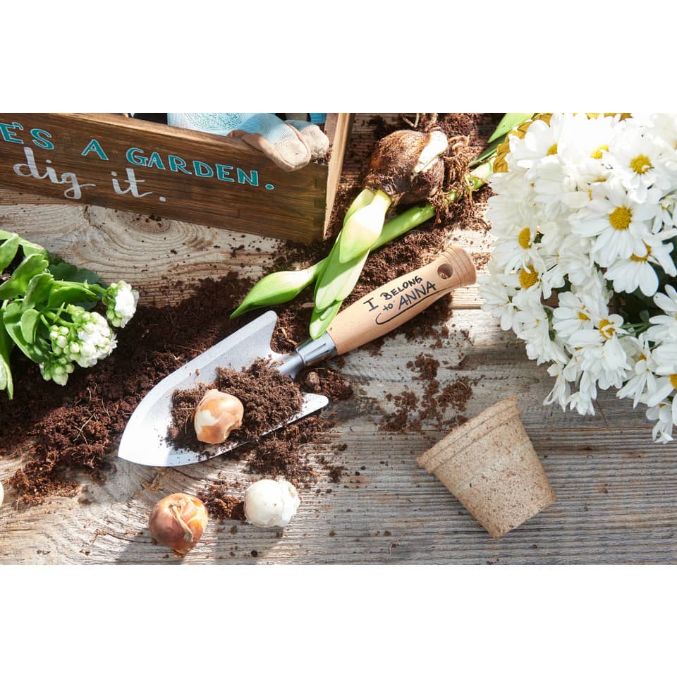 gartengieren, kelle, blumen, erde, handschuhe