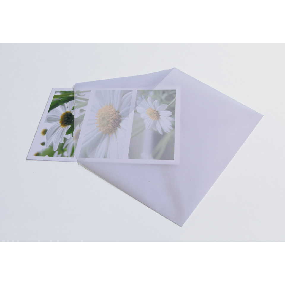 Foto, Druck, Gänseblümchen, Blumen, Karten-Set, Fotoalbum, Fotobuch, Daisy, Blumenbild, Drucke