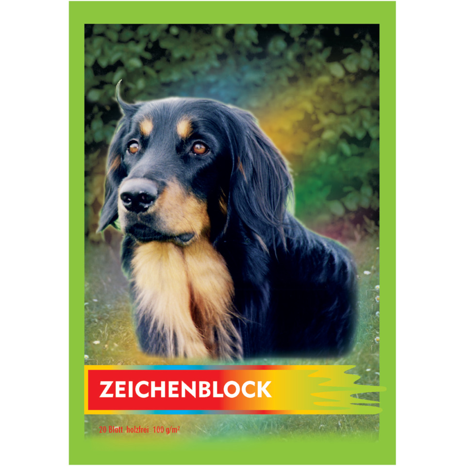 Hund, Leder?, Schwarz, Langhaar, Gras