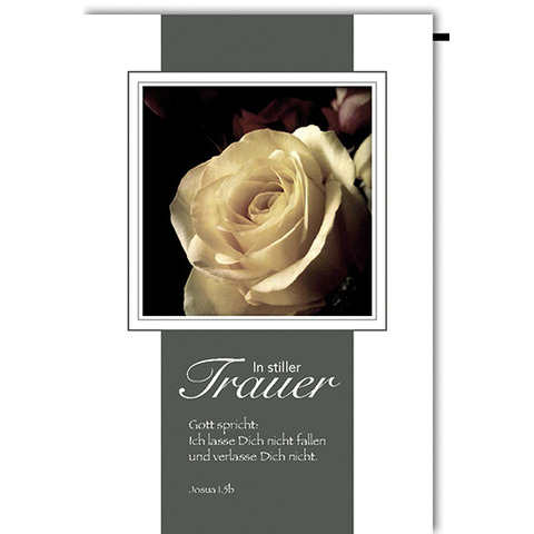 Blume, Pflanze, Rose, Werbung, Plakat