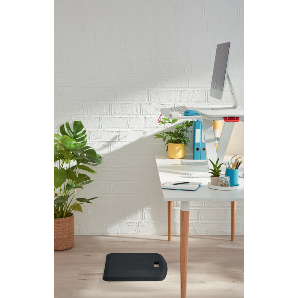 schreibtisch, home office, dockstation, monitorständer, schreibtischschuh, home-office, schreibtisch, computer, pflanze, monitor-ständer
