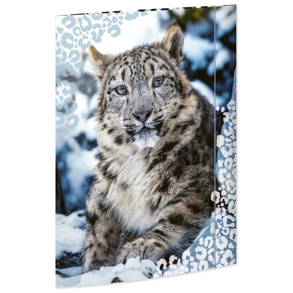 Löwe, Tigerjunge, Winterlandschaft, Fellmuster, Tierfotografie