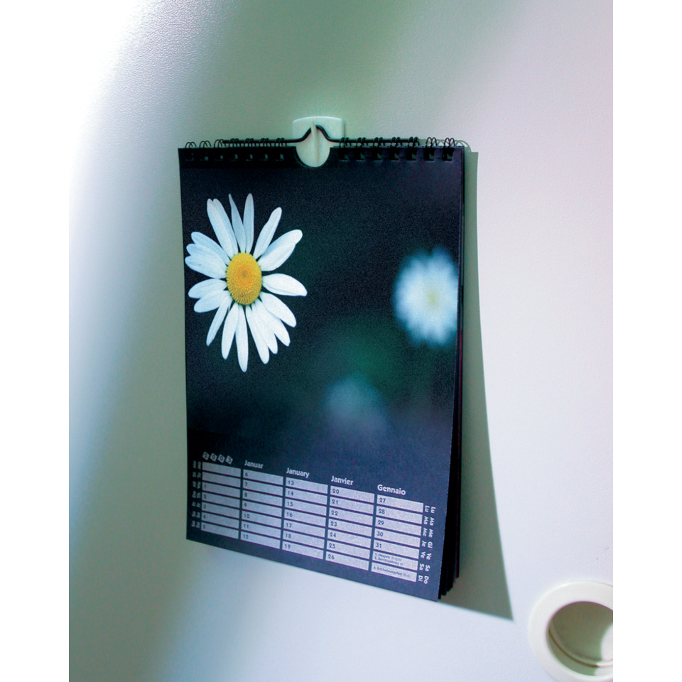 Kalender, Blumen, Tagkalender, Lampe, Druckbild