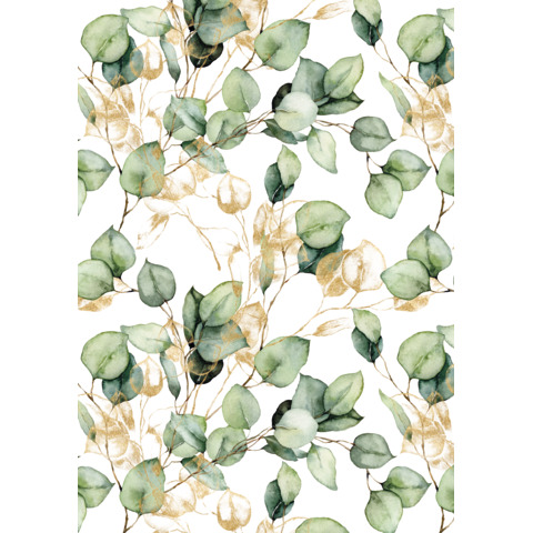 Secarerolle Premium, 250 m x 50 cm ZÖWIE 5A.0812.1
