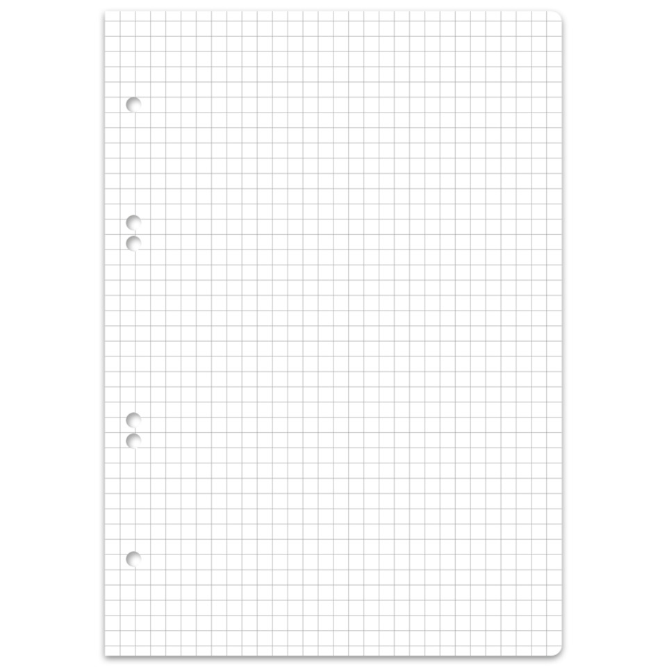 Blatt, Notizblock, Gitterlinien, Lochungen, Lochrand