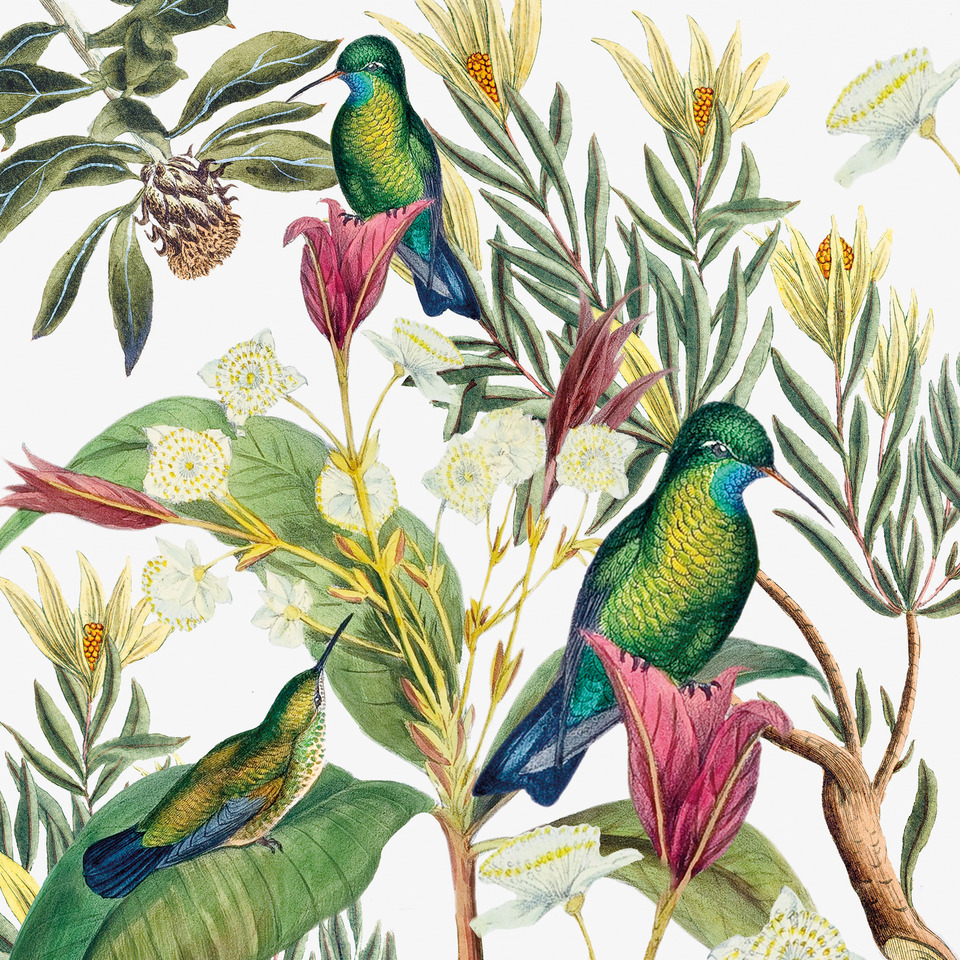 Tier, Vogel, Pflanze, Bewuchs, Kunst, Tier, Vogel, Kunst, Pflanze, Bewuchs