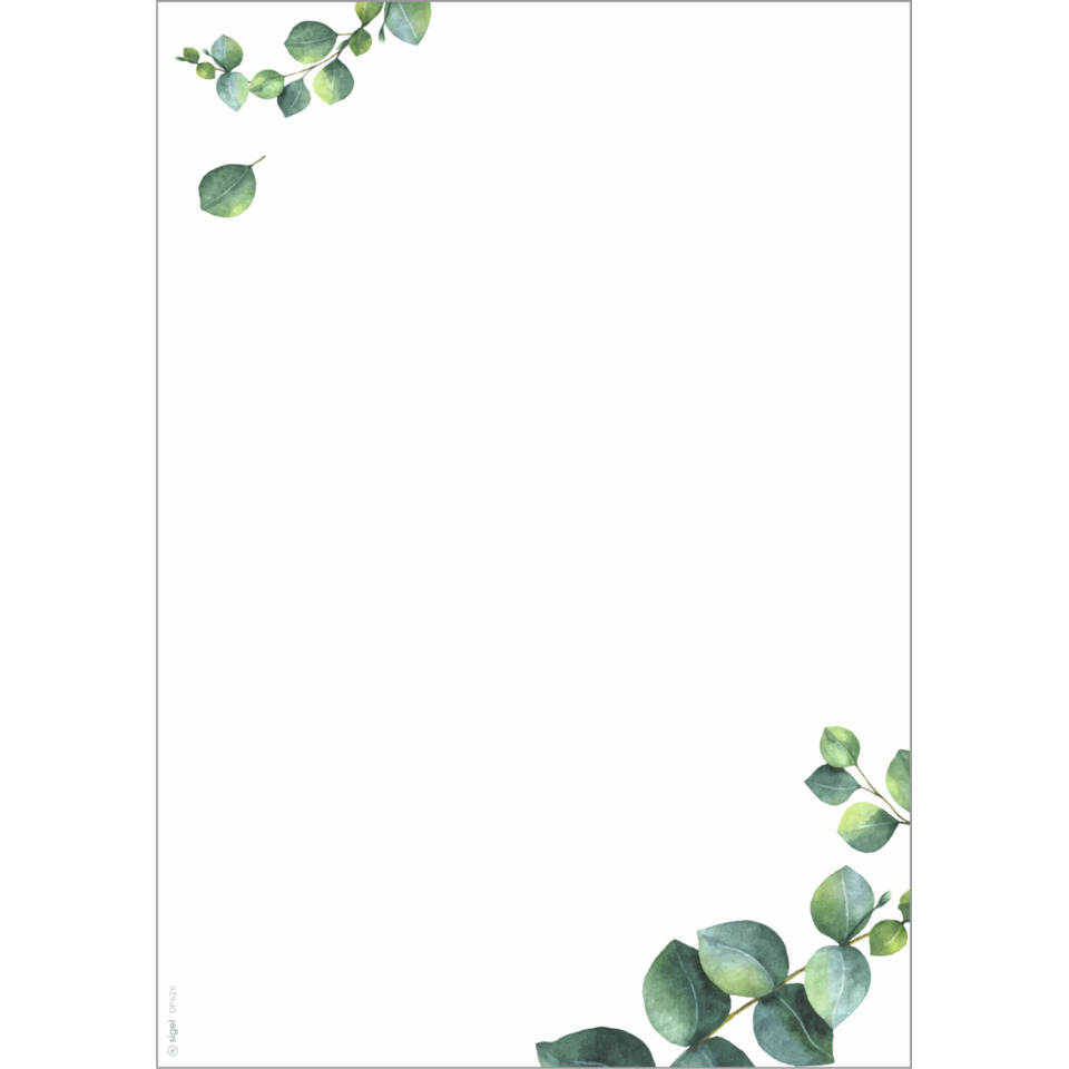 Eukalyptus, Blätterrand, Rahmen, Weißer Hintergrund, Dekoratives Laub