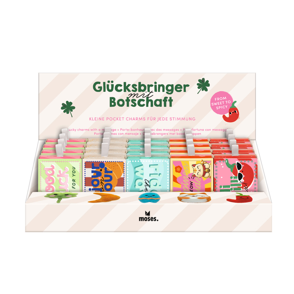 Kleines Pocket-Charms, Glücksbringer, Botschaft, Ansteck-/Wunschkartei, Schachtel mit Charms