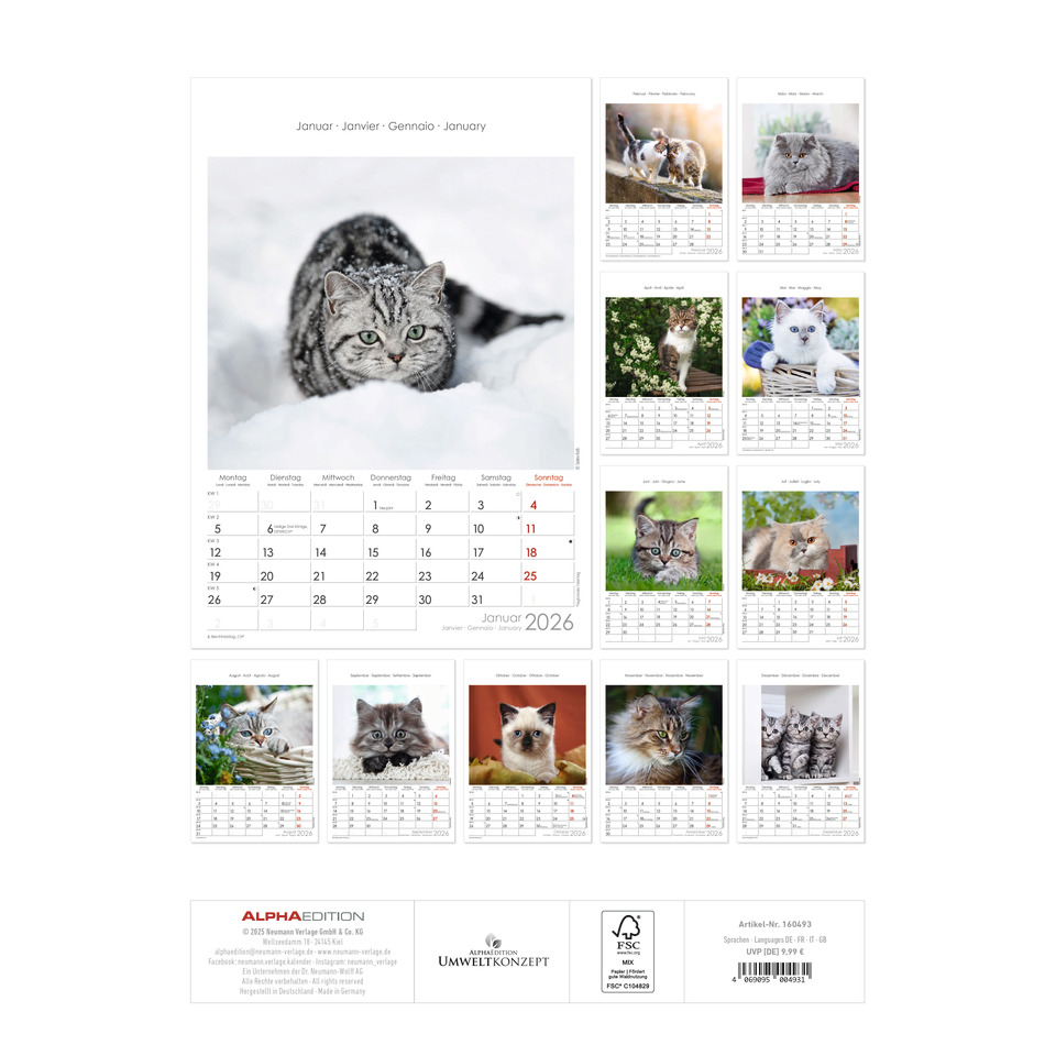 Seite, Text, Katze, Haustier, Kalender