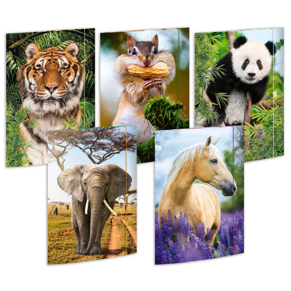 Kunst, Collage, Tiger, Großer Panda, Elefant