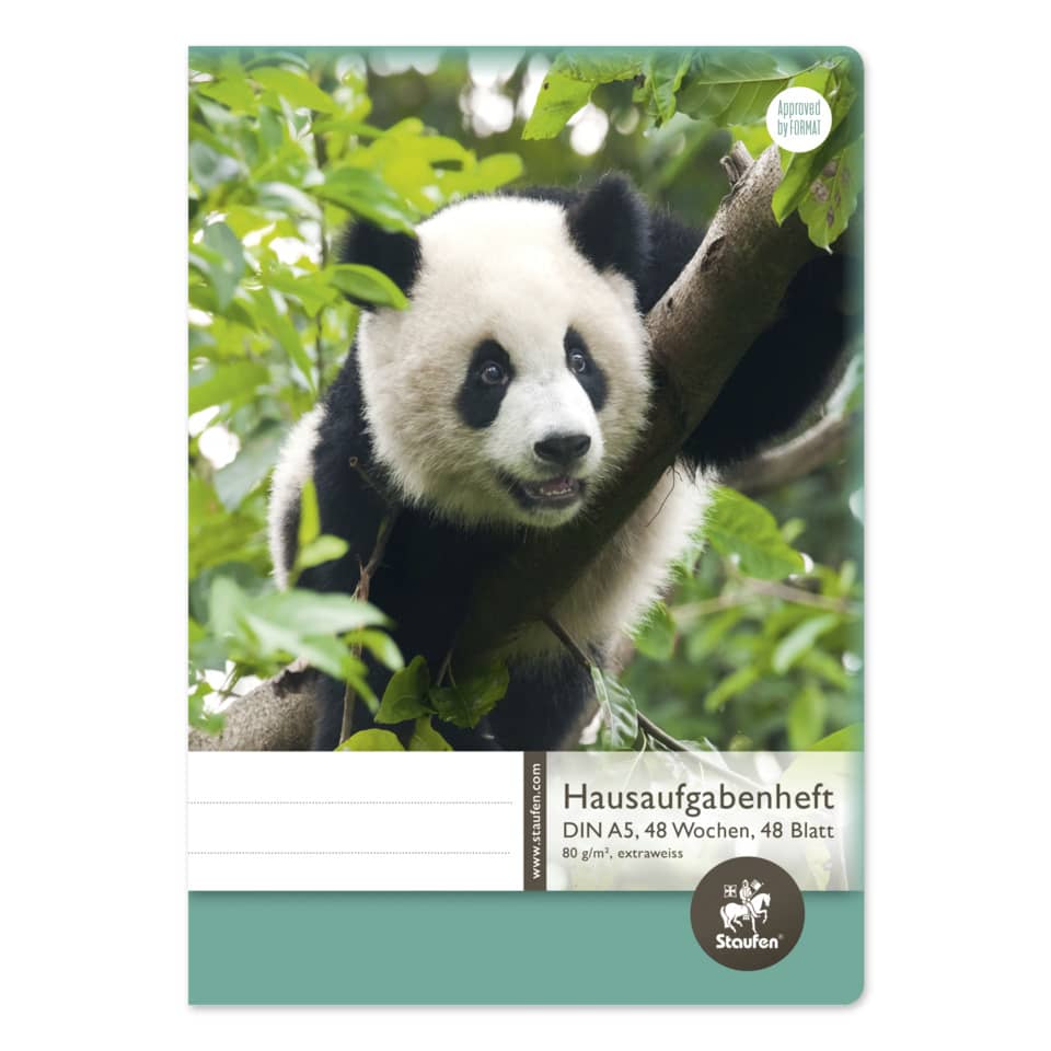 Tier, Bär, Großer Panda, Säugetier, Tierwelt