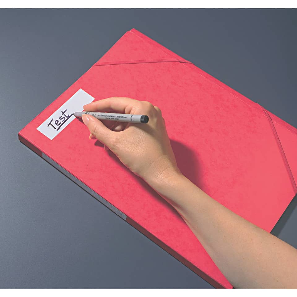 notebook, pink, binders, hand, test label
