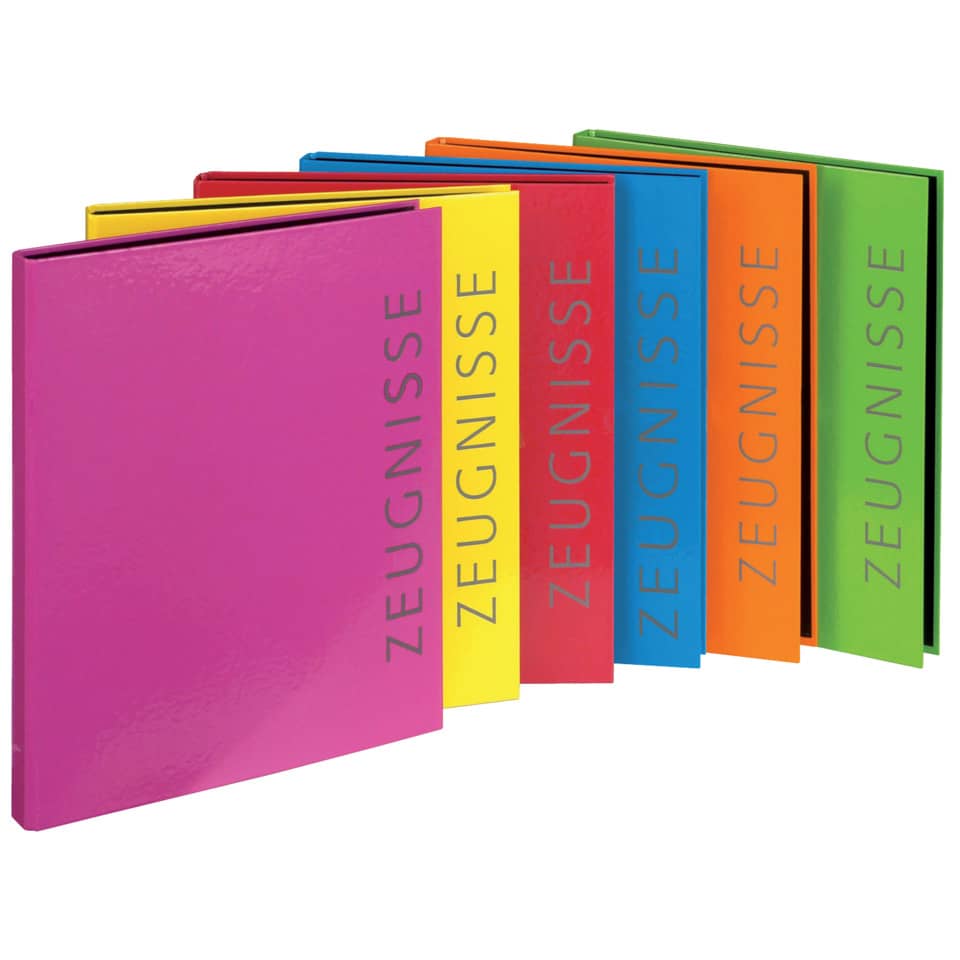 notebooks, binders, colored, multicolor, paged