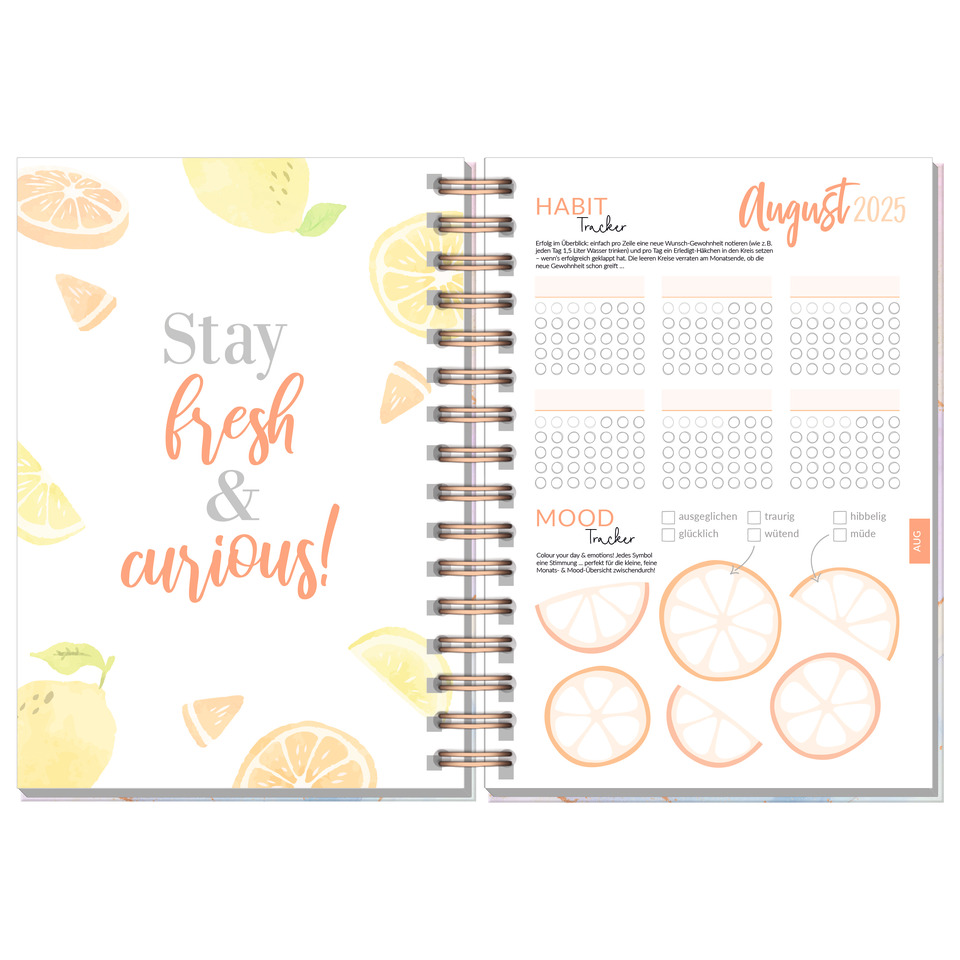 Seite, Text, Seite, Text