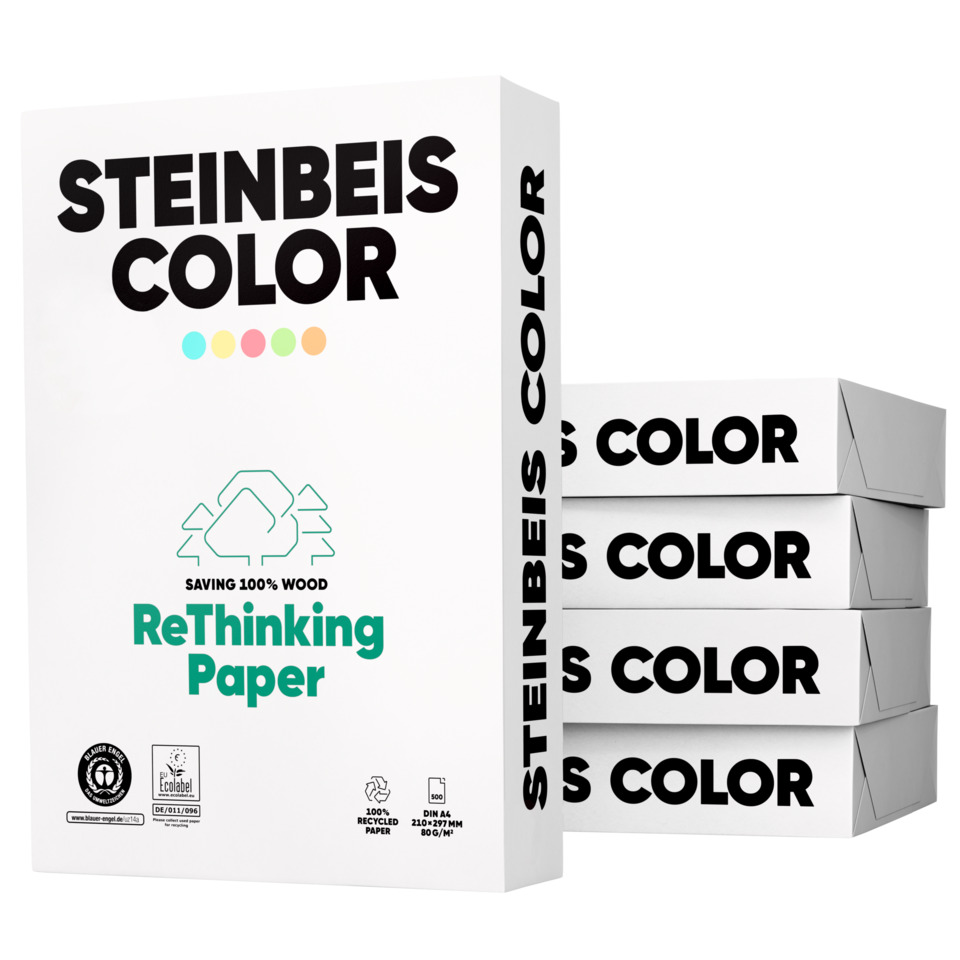 Kartonverpackung, Recyclingpapier, Steinbeis Color, Rethinking Paper, Holzfrei