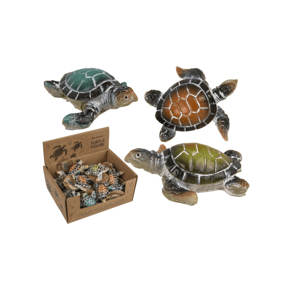 schildkrötenfigur, schildkrötenspielzeug, meeresschildkröte, polyresin, ausstellungsbox