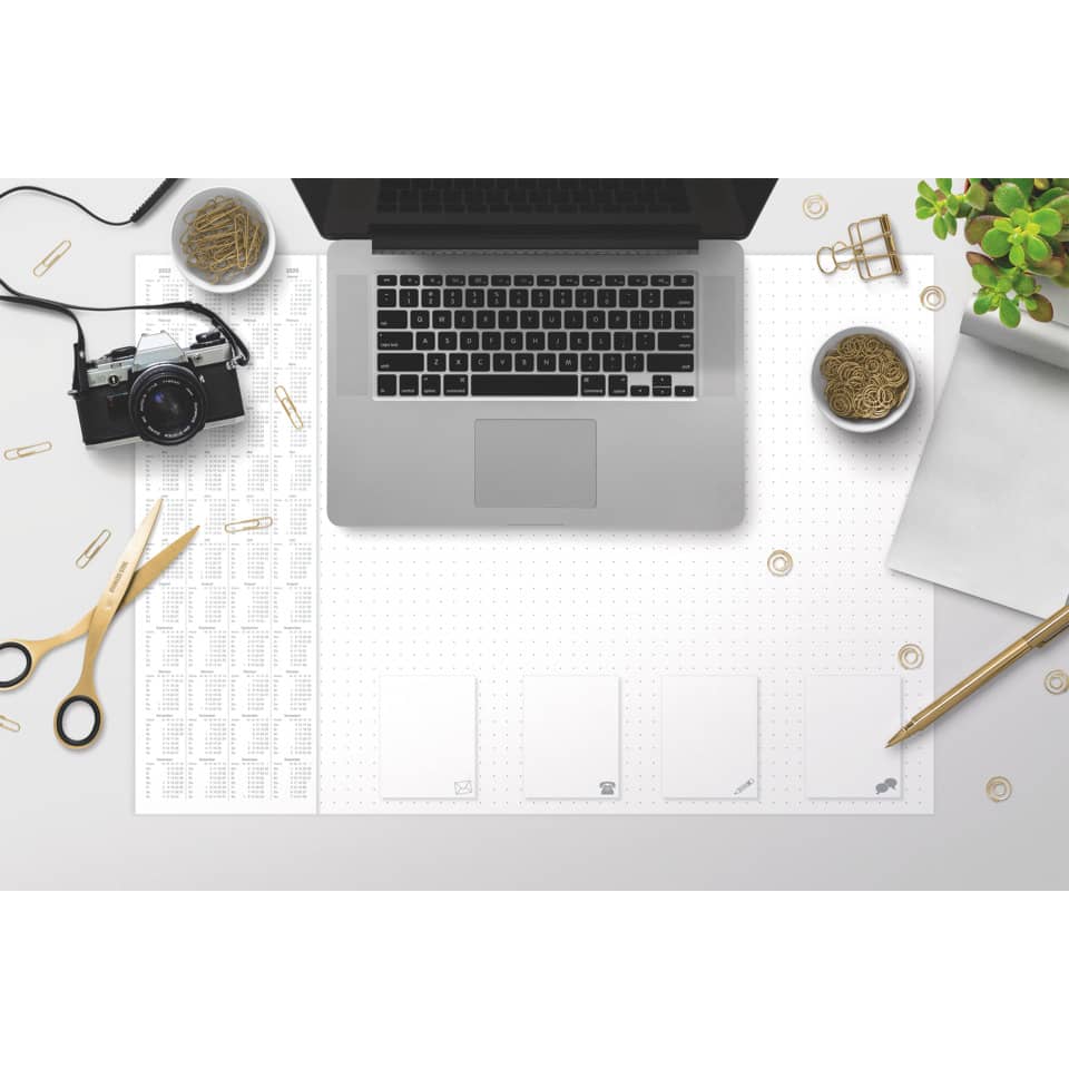 Laptop, Desk, Kamera, Schere, Pflanze
