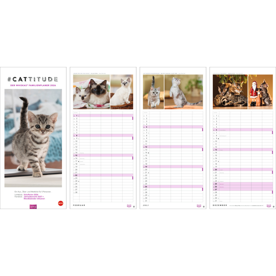 Katzenkalender, Hundekalender, Tierkalender, Tierfotos, Monatliche Planung