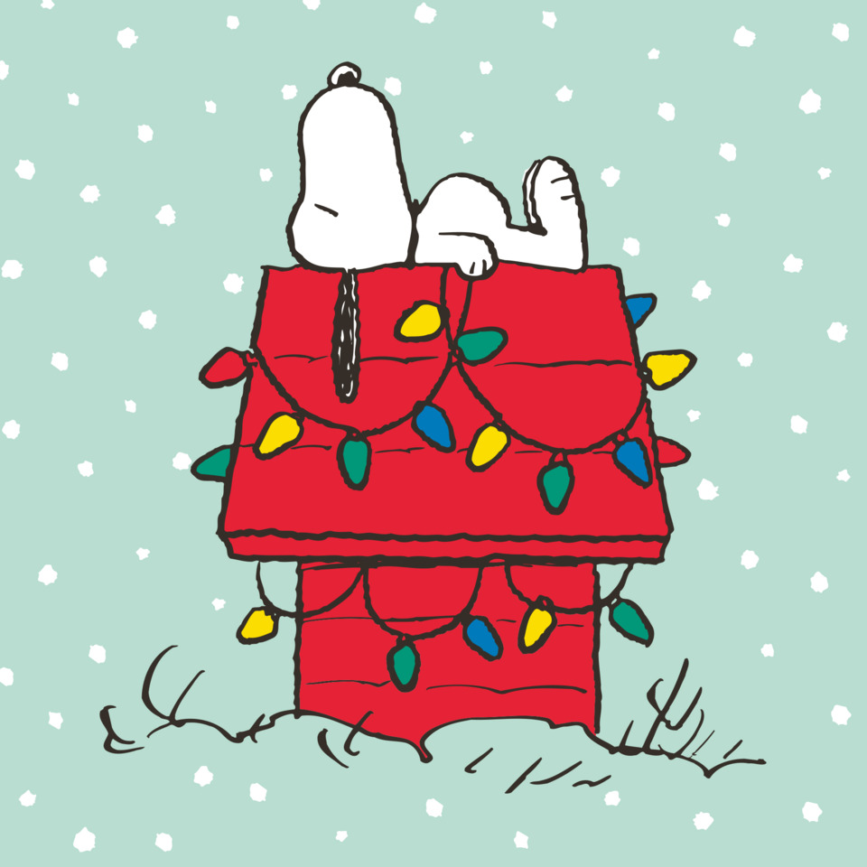 Snoopy, Hütte, Lichterkette, Winter, Comic
