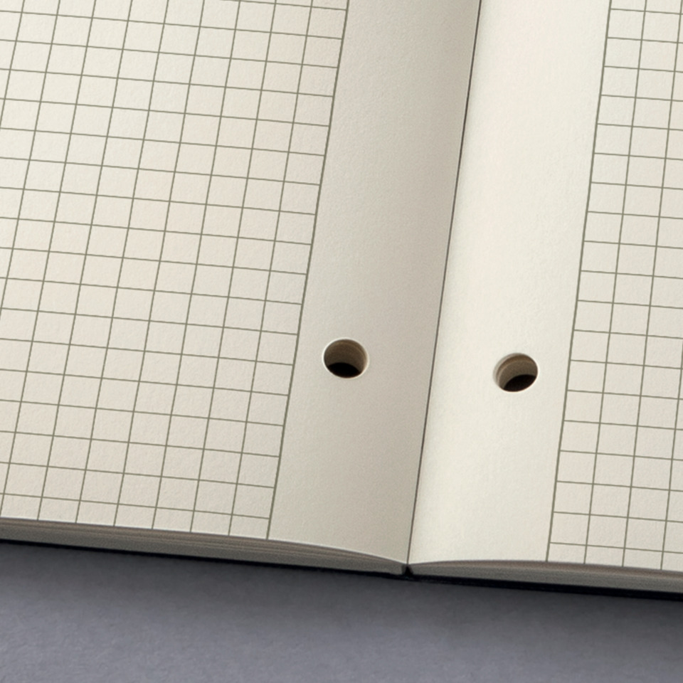 ring binder, hole punch, spiral binding, grid page, hole punch, löschpapier, mappe, gitterpapier, lochungen, Ordnerbuchsen