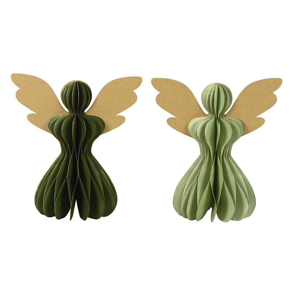 Blatt, Pflanze, Kaktus, Pflanze, Kaktus, Pflanze