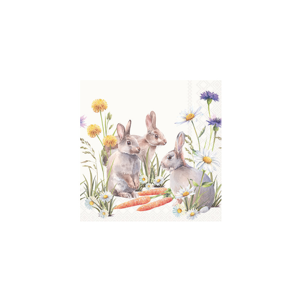 Hasen, Junge, Garten, Karotten, Blumen